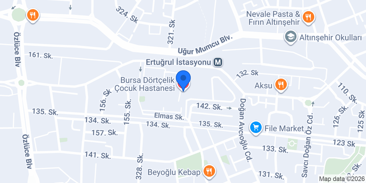 Bursa Dörtçelik Çocuk Hastanesi konumu