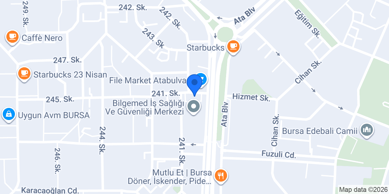 Idea Bağımsız Denetim A.Ş. konumu