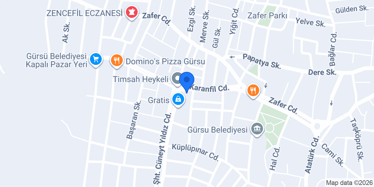 Gürsu Adasel Optik konumu