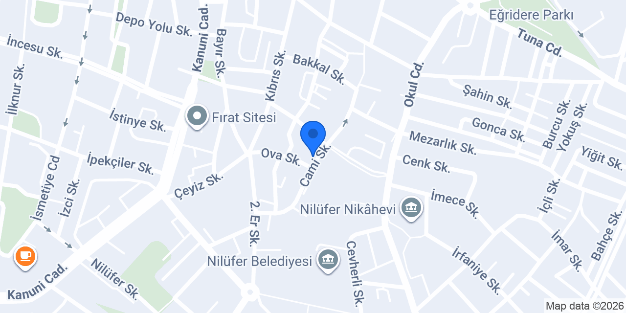 Nilüfer Bilemecilik konumu