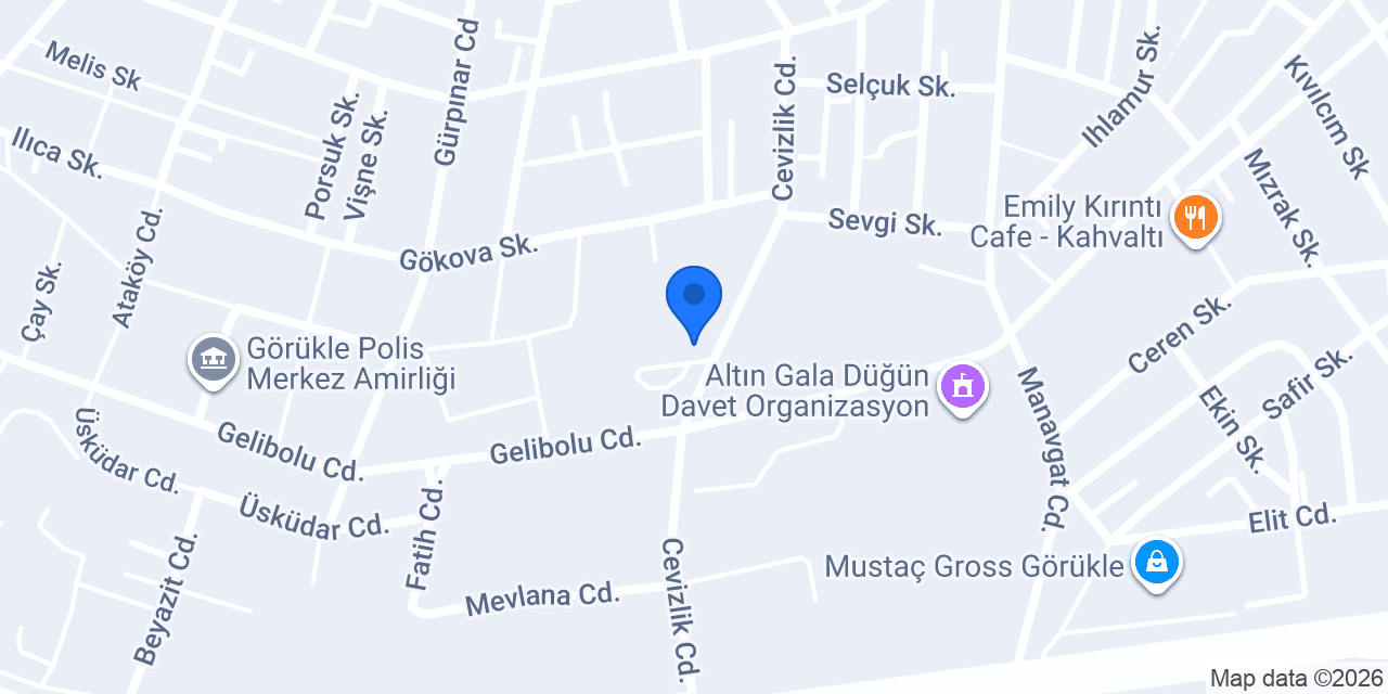 Exxen Group Mülk Yönetimi konumu