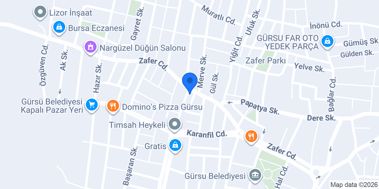 Gürsu Petshop konumu