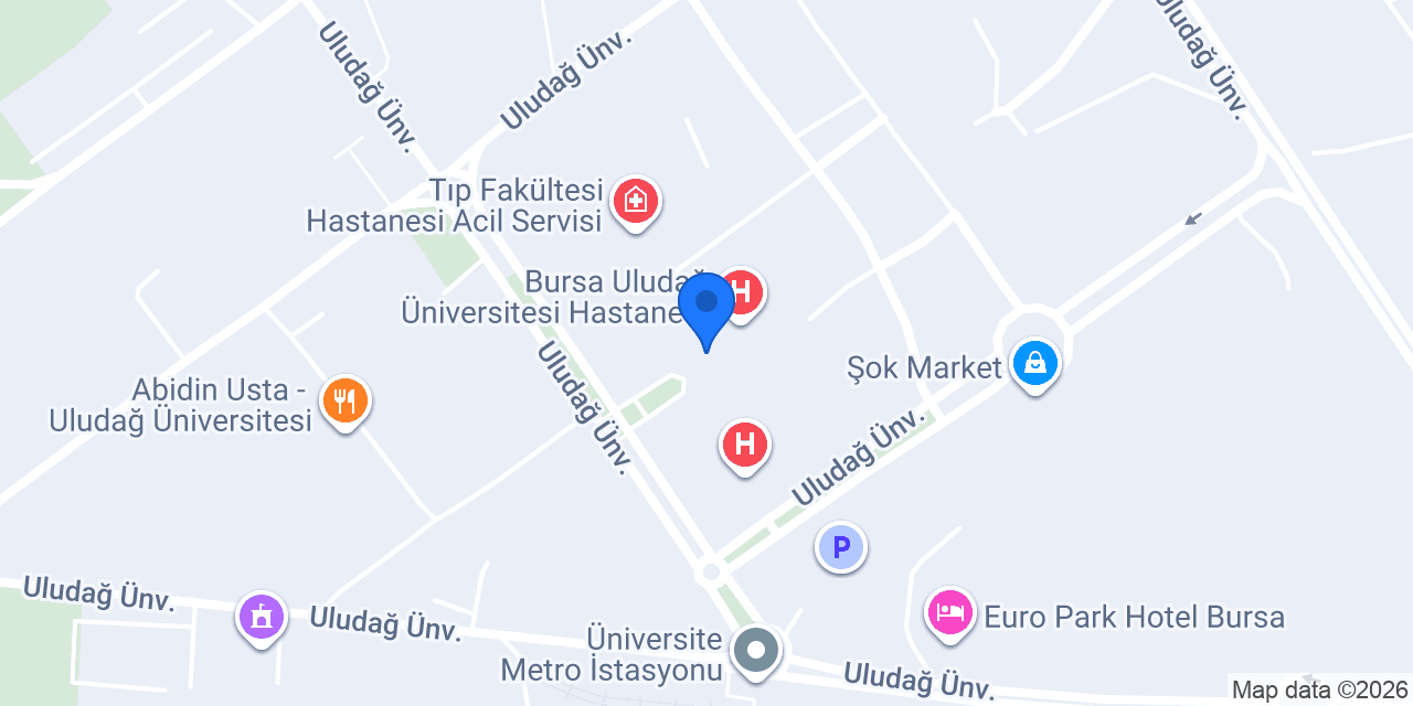 Elis çiçekçilık konumu