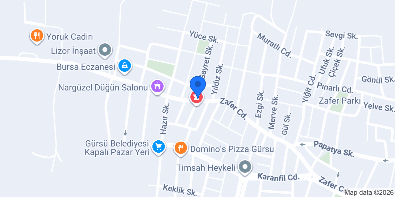 Seyhan Ekspres konumu