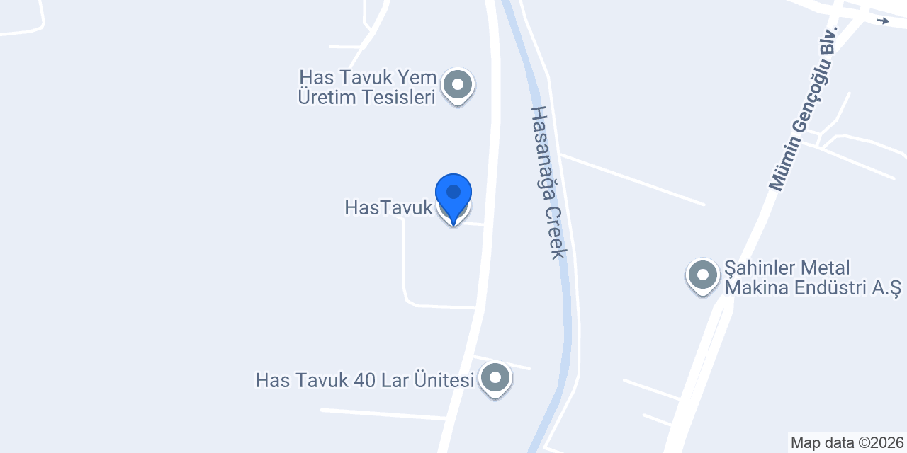 HasTavuk konumu