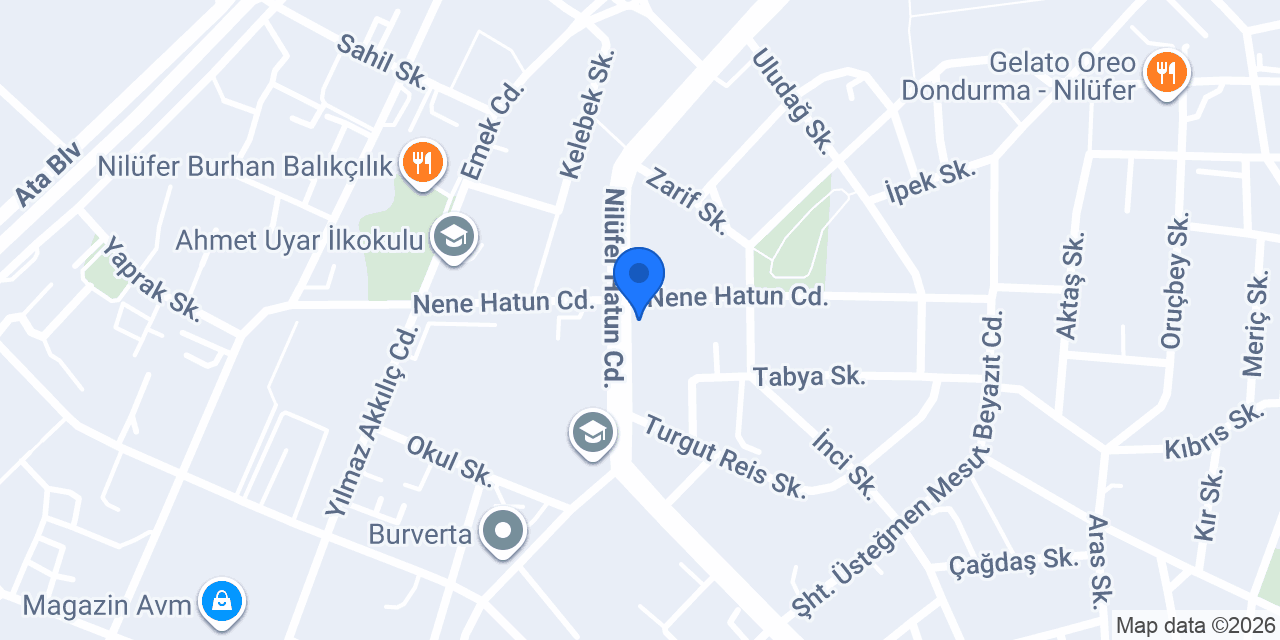 Bursa Balıkçısı konumu