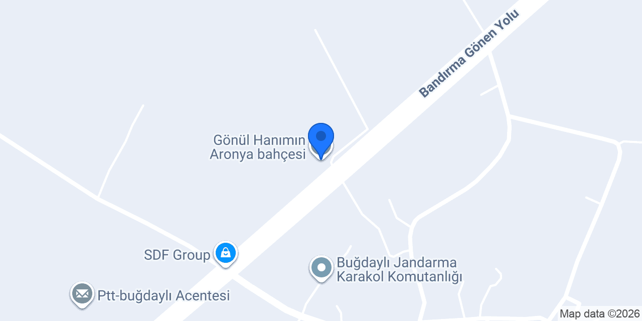 Gönül Hanımın Aronya bahçesi konumu