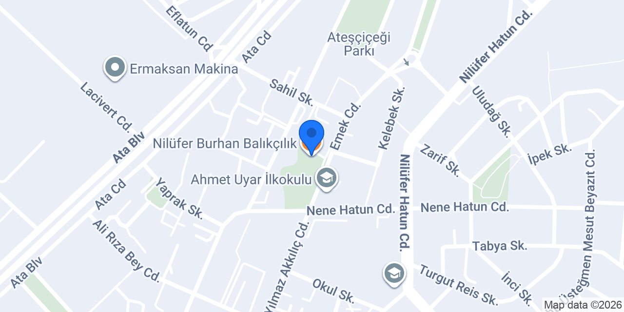Nilüfer Burhan Balıkçılık konumu