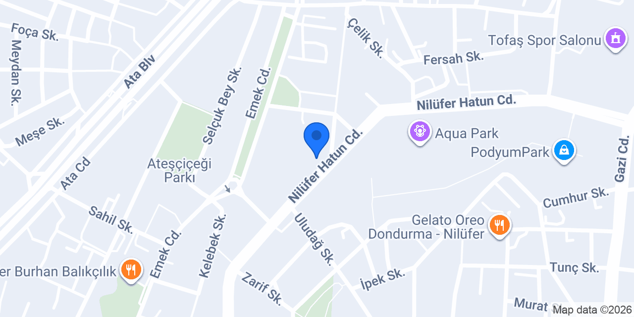 Domino's Pizza Nilüfer konumu