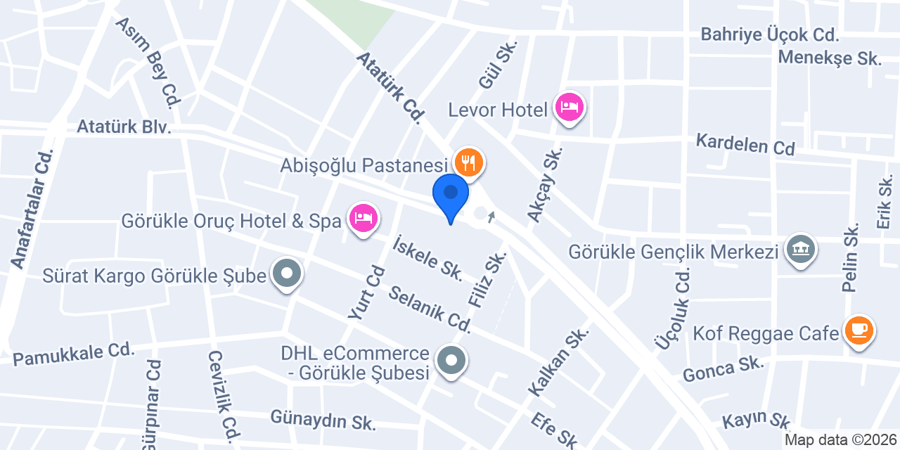 SPN TURKEY OTOMOTİV LTD. ŞTİ. konumu