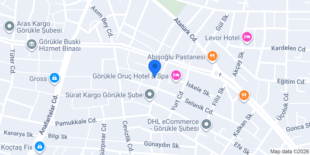 Görükle Tamir Ali Usta konumu