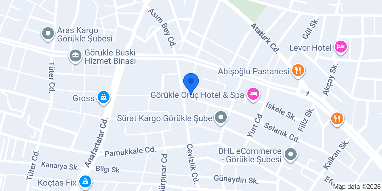 Q Diamond Yatırım Danışmanlığı konumu