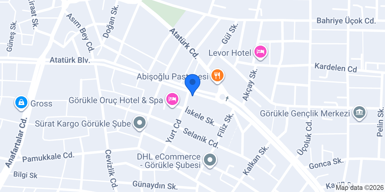 Goint Career Yurtdışı Eğitim Danışmanlığı konumu