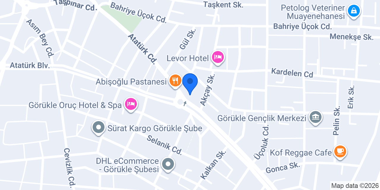 MMA ACADEMY Görükle konumu
