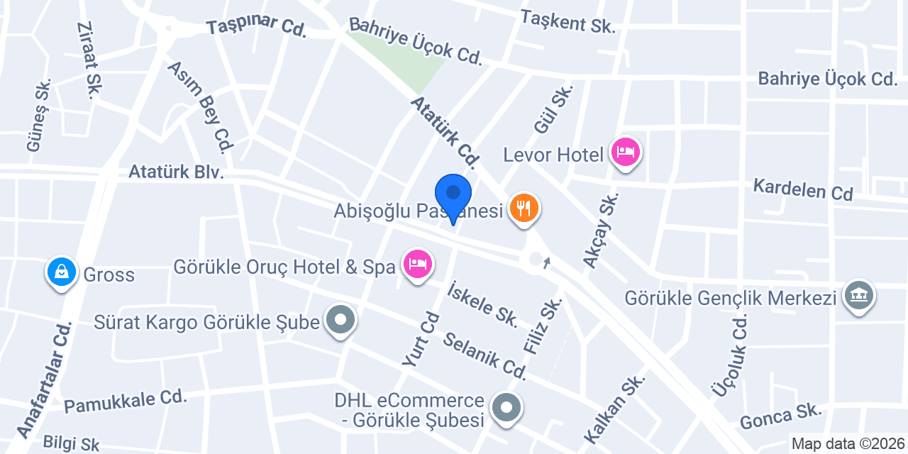 Dt. İlknur Aras, Diş Hekimi konumu