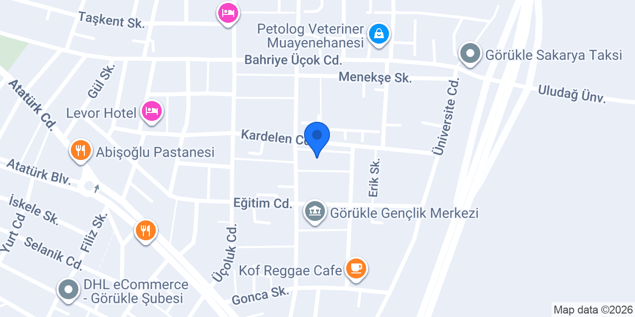 Mavilim Çıtır Tavuk konumu