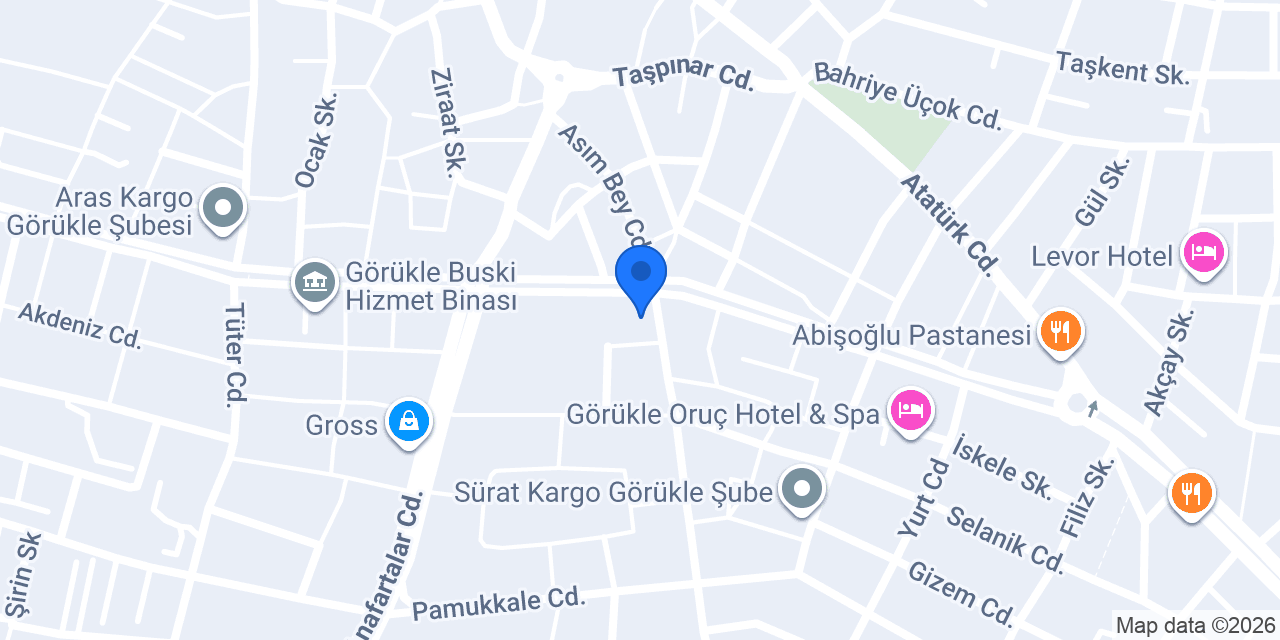 Domino's Pizza Görükle konumu