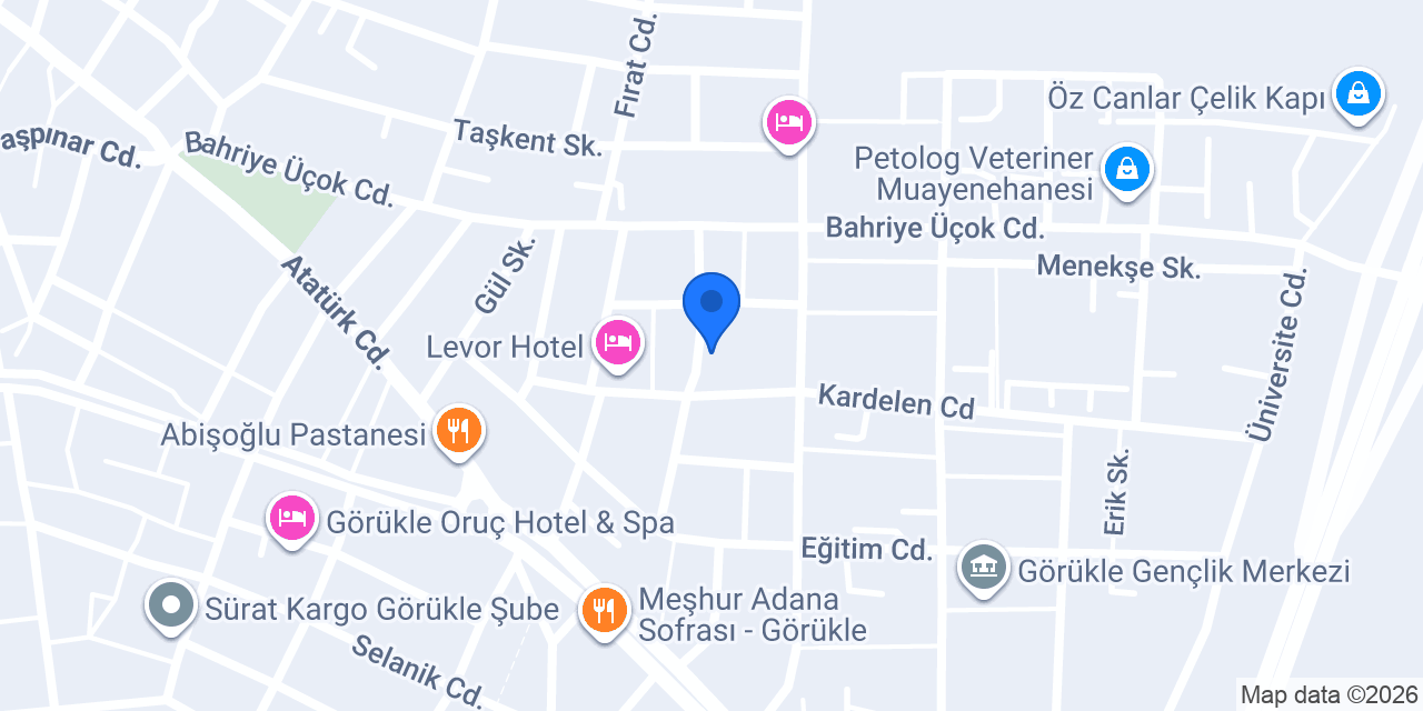 RÜZGAR RENT A CAR DOĞAN GROUP konumu