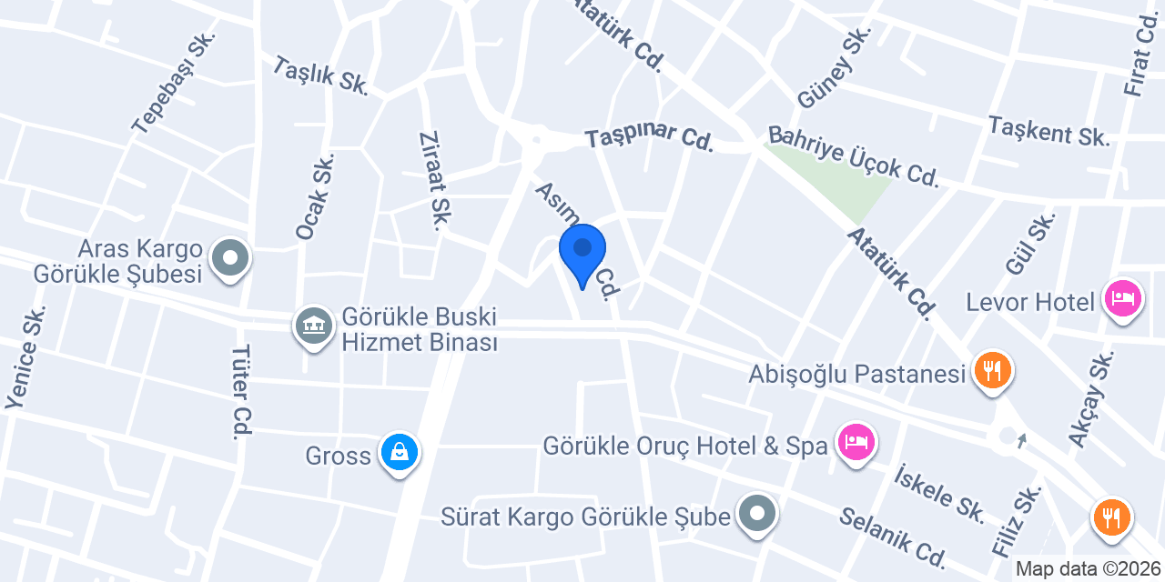 TUSDATA Bursa Şube konumu