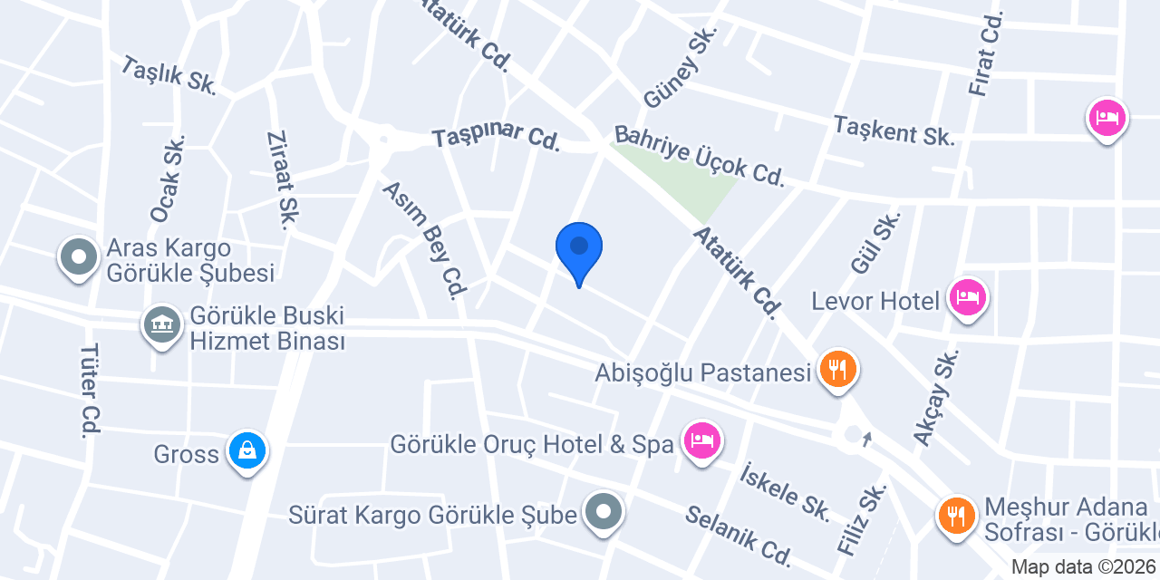 Sezer Veteriner Görükle konumu