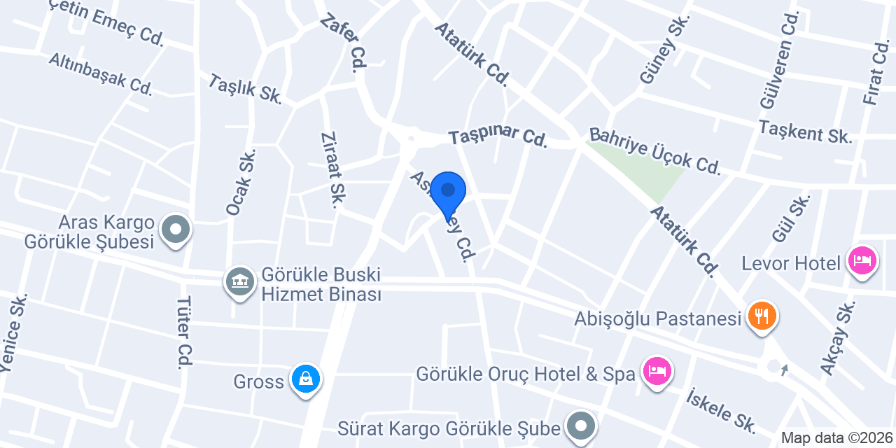 TUSEM & DUSEM Bursa konumu