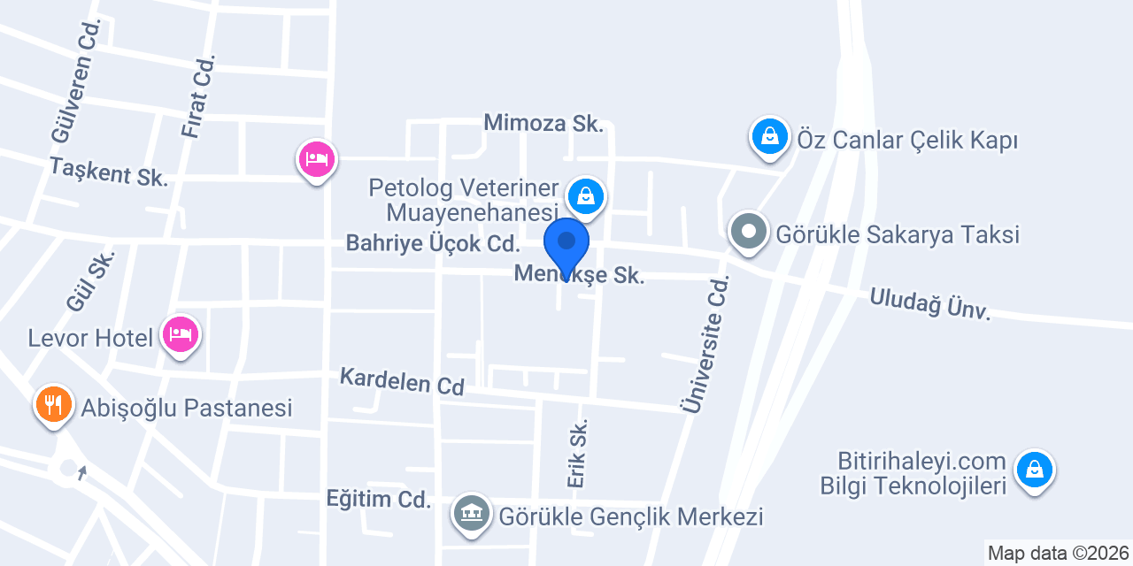 Demir Veteriner Görükle konumu