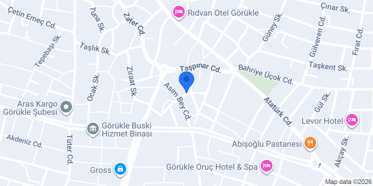 Gurme mutfak ev yemekleri (görükle) konumu
