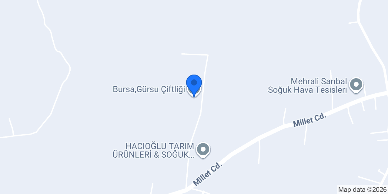 Bursa,Gürsu Çiftliği konumu