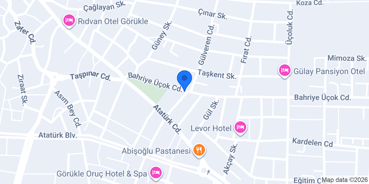 Bursa Özlem Sürücü Kursu konumu