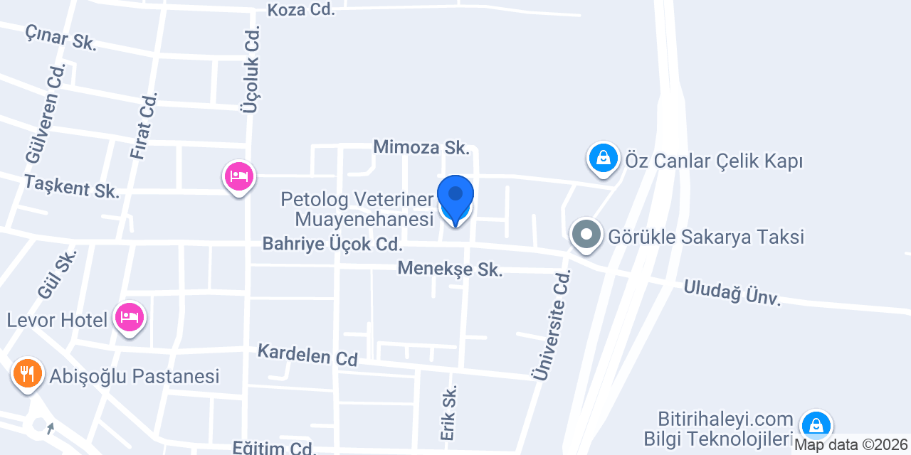 Petolog Veteriner Muayenehanesi konumu