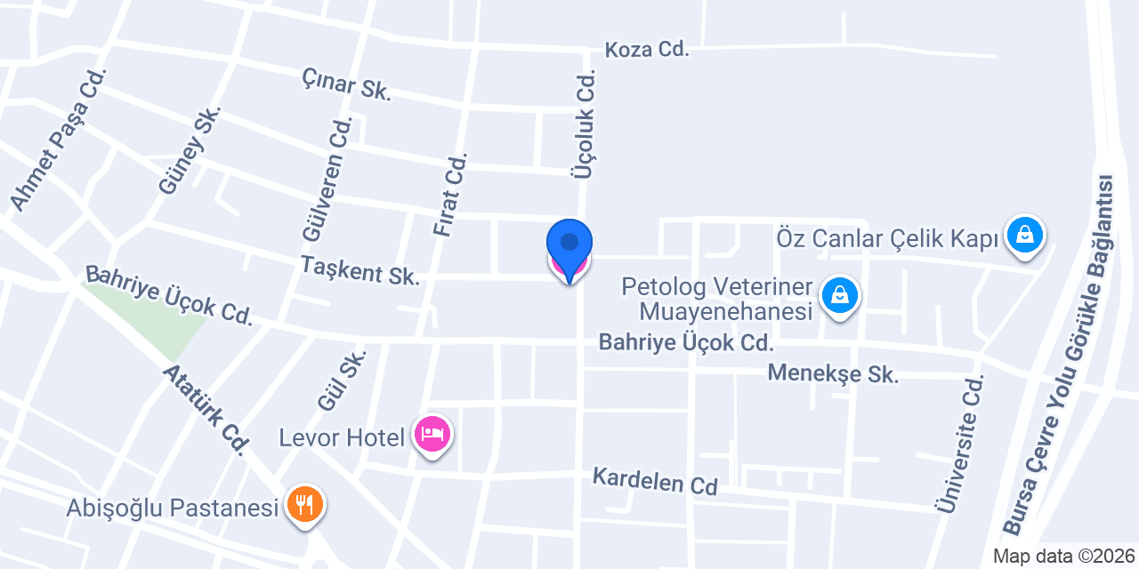 Gülay Pansiyon Otel konumu