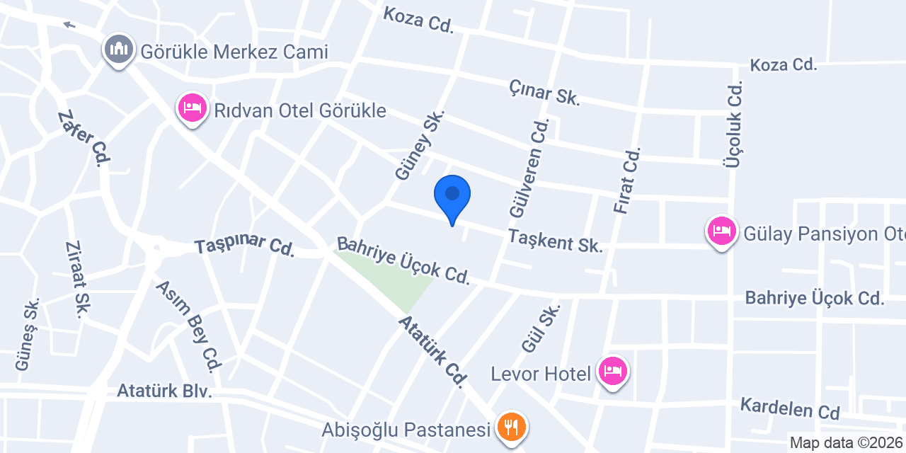 GÖRÜKLE BNG IZGARA konumu