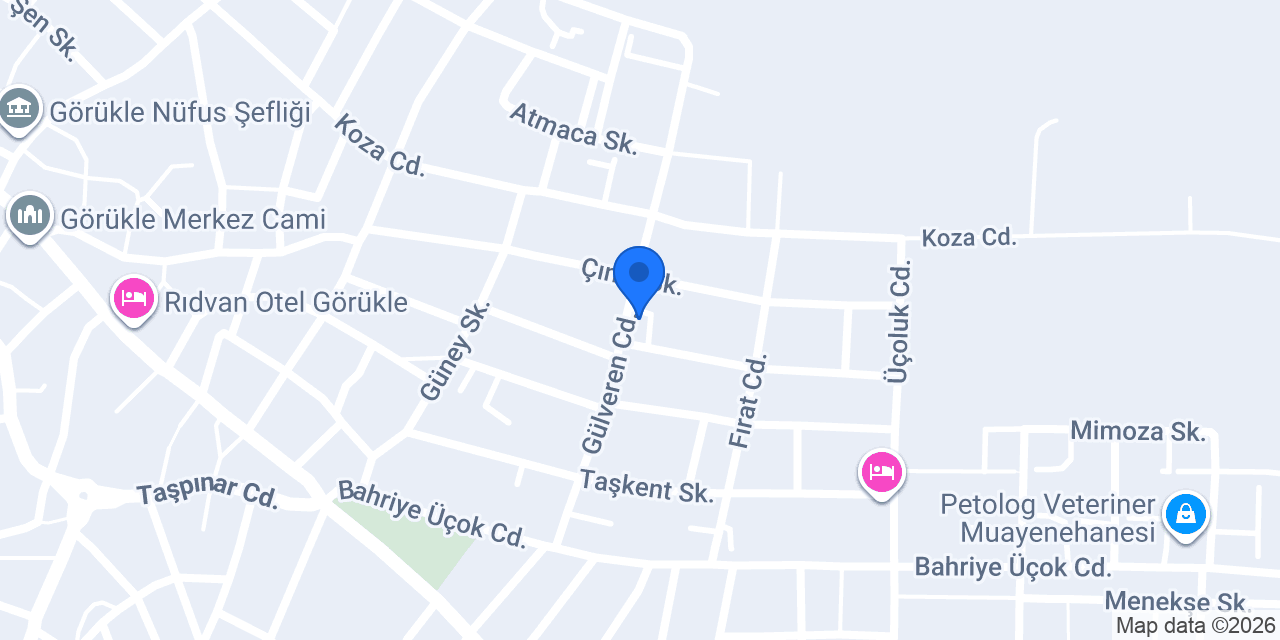 ÇÖZÜM SPOT konumu