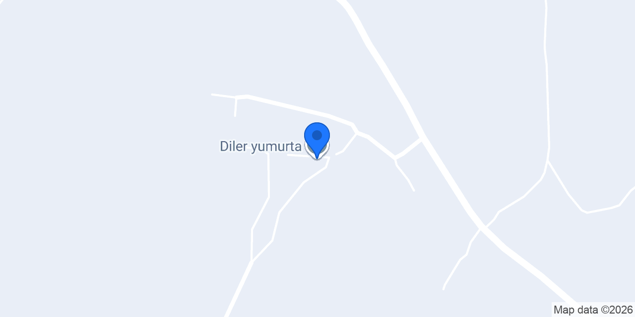 Diler yumurta konumu