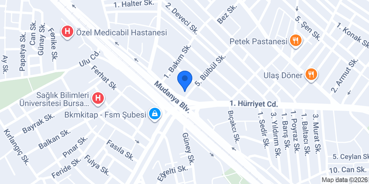 Özel Bursa Lider Sürücü Kursu konumu