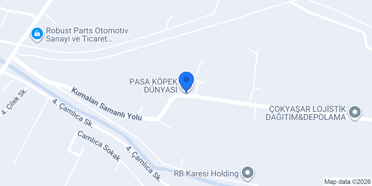 PASA KÖPEK DÜNYASİ konumu