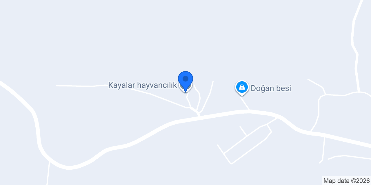 Kayalar hayvancılık konumu