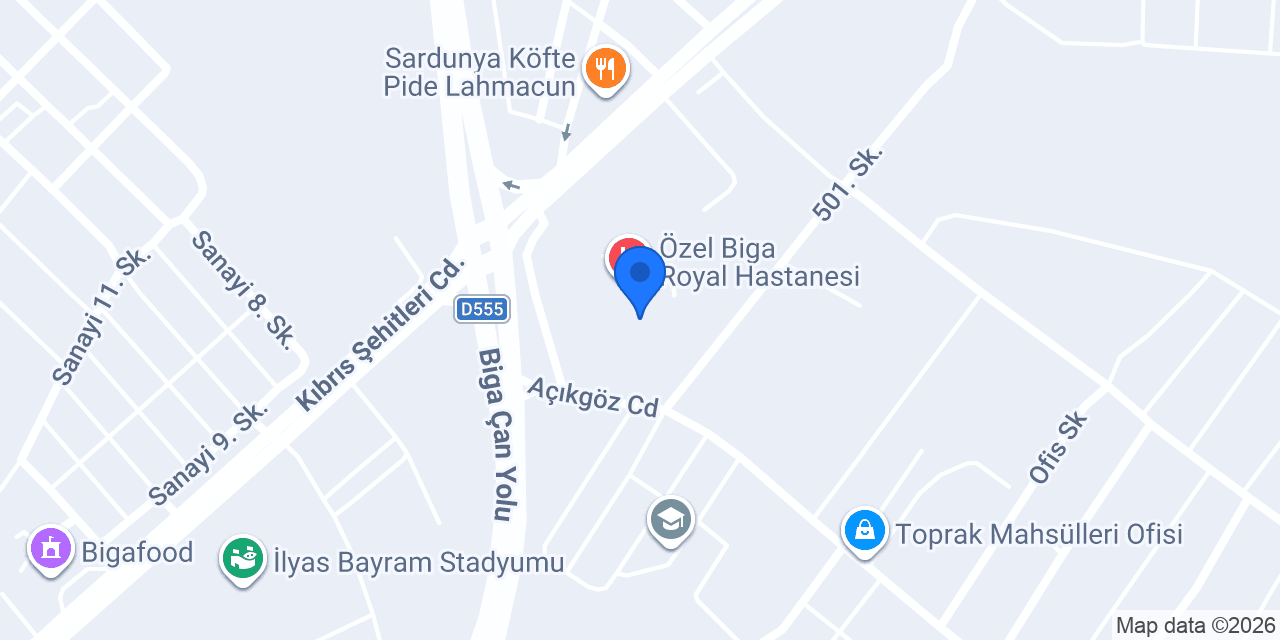 Biga Royal Taksi konumu