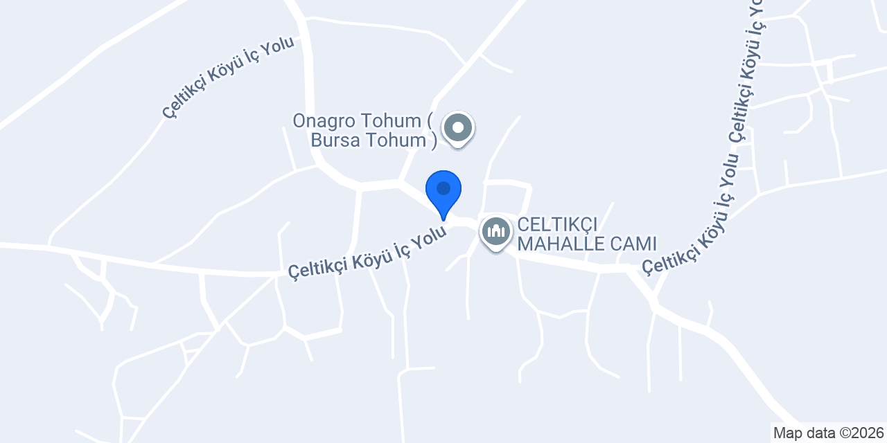 Börü Kıraathanesi konumu