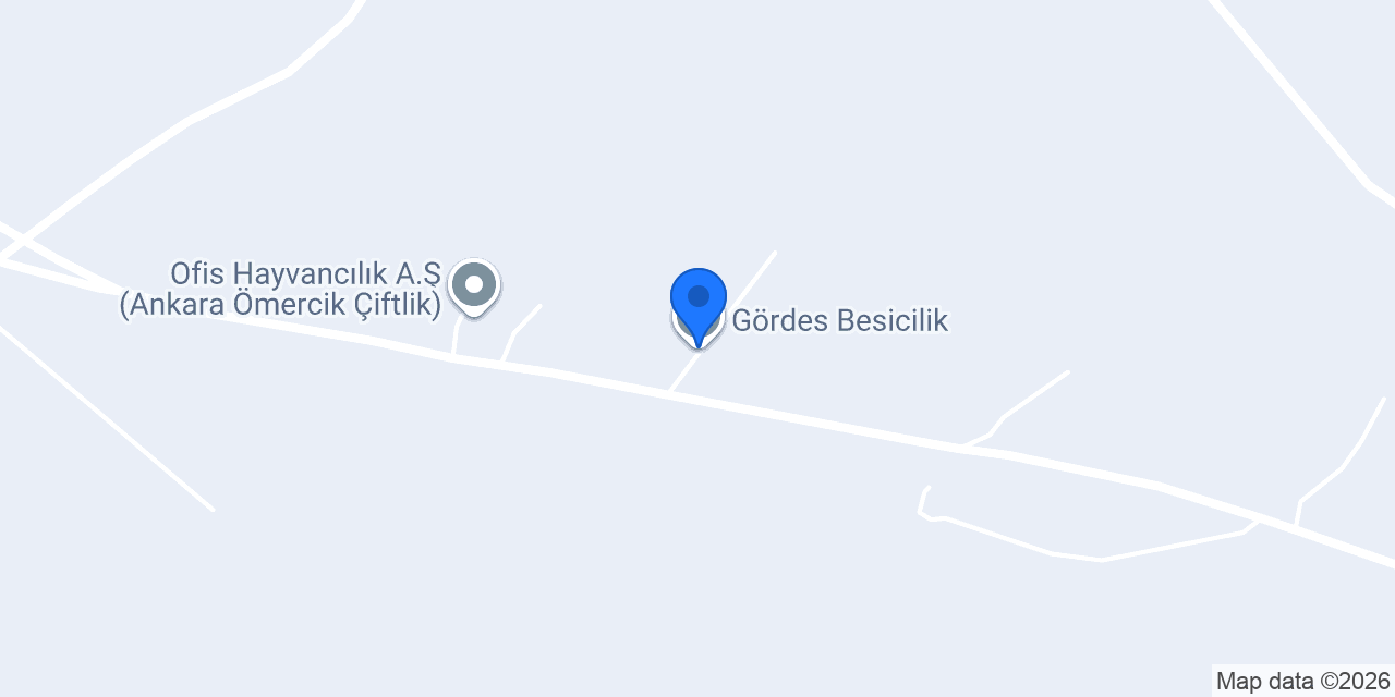Gördes Besicilik konumu