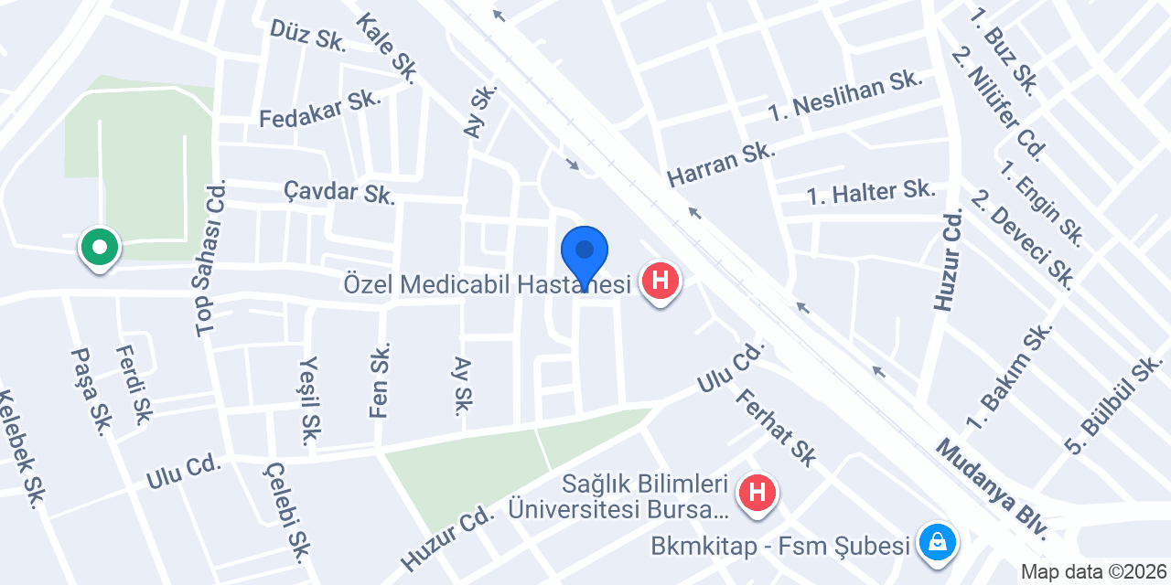 Güryapı Bursa konumu