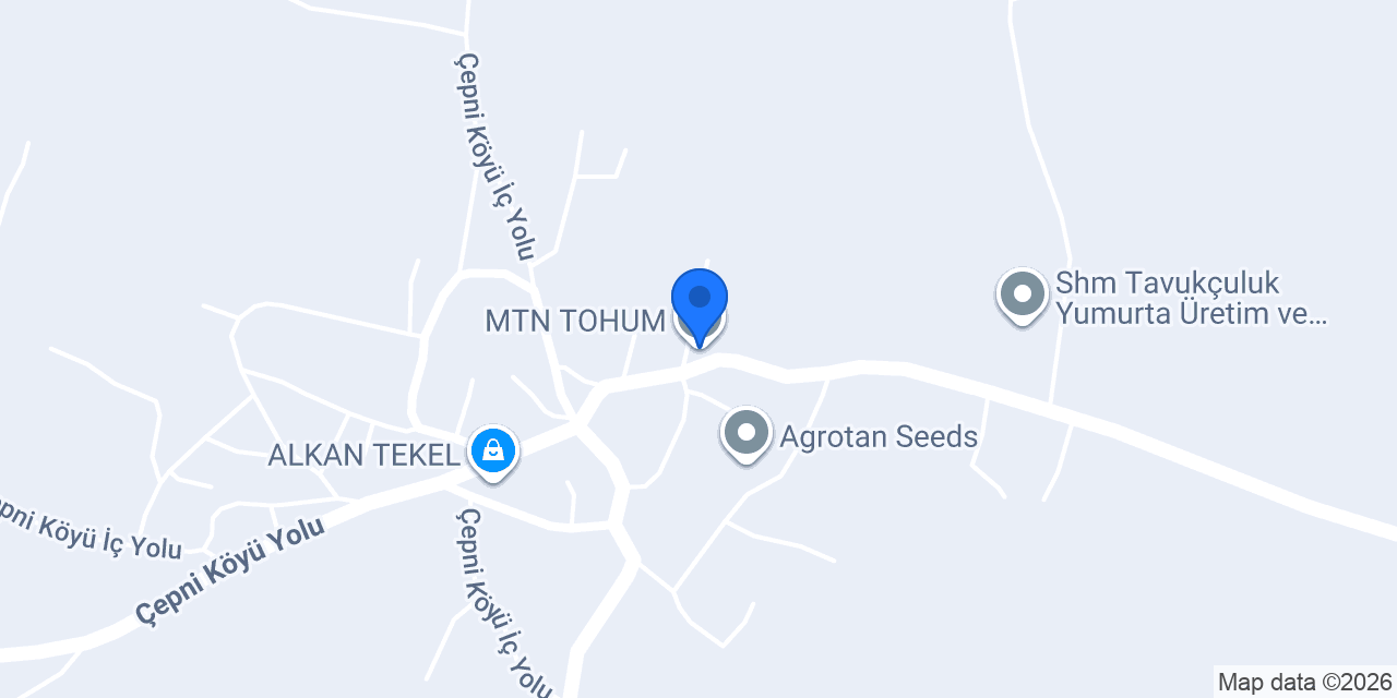 MTN TOHUM konumu