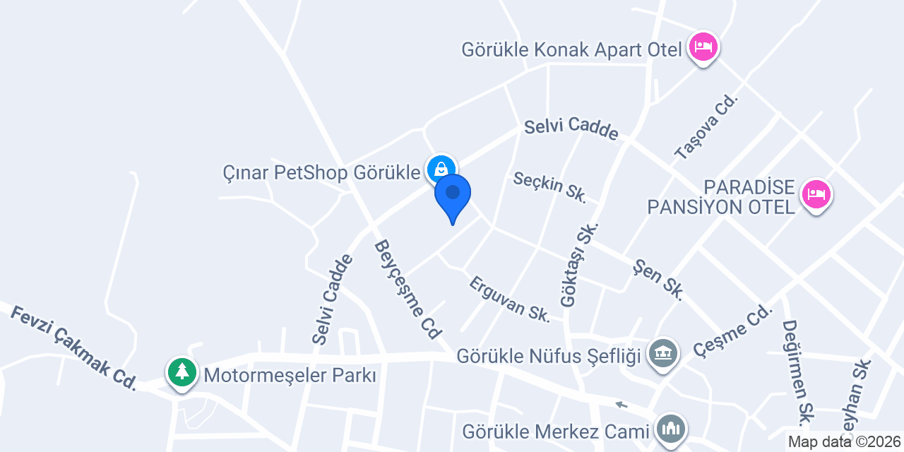 Görükle Günlük Kiralık Ev konumu