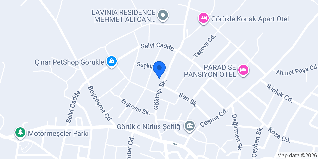 ARES TEMİZLİK konumu