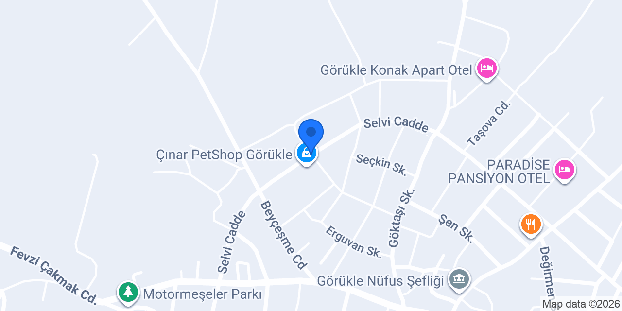 ASEL MARKET konumu