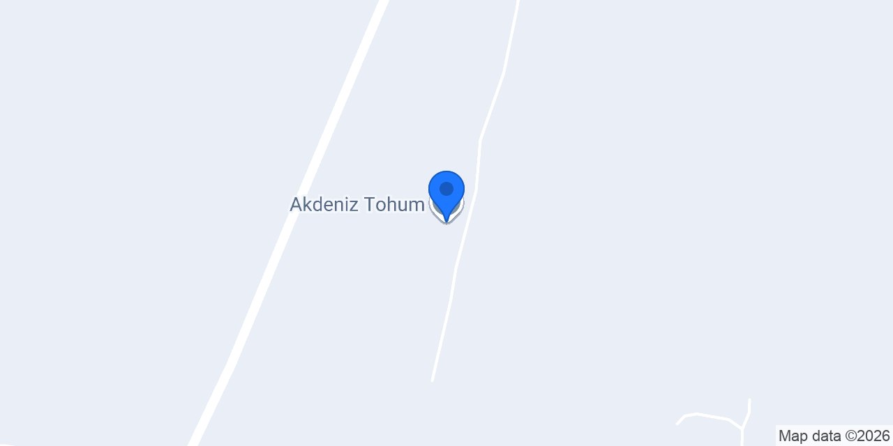 Akdeniz Tohum konumu