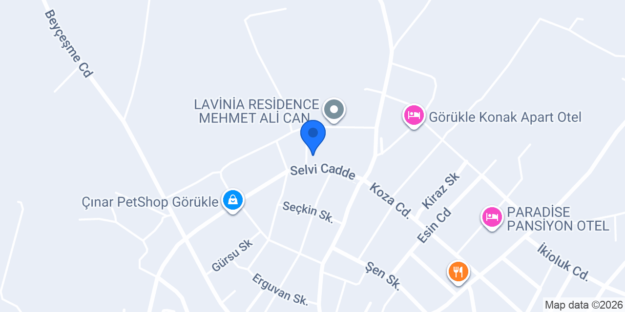 Bursa Temizlik Şirketi konumu