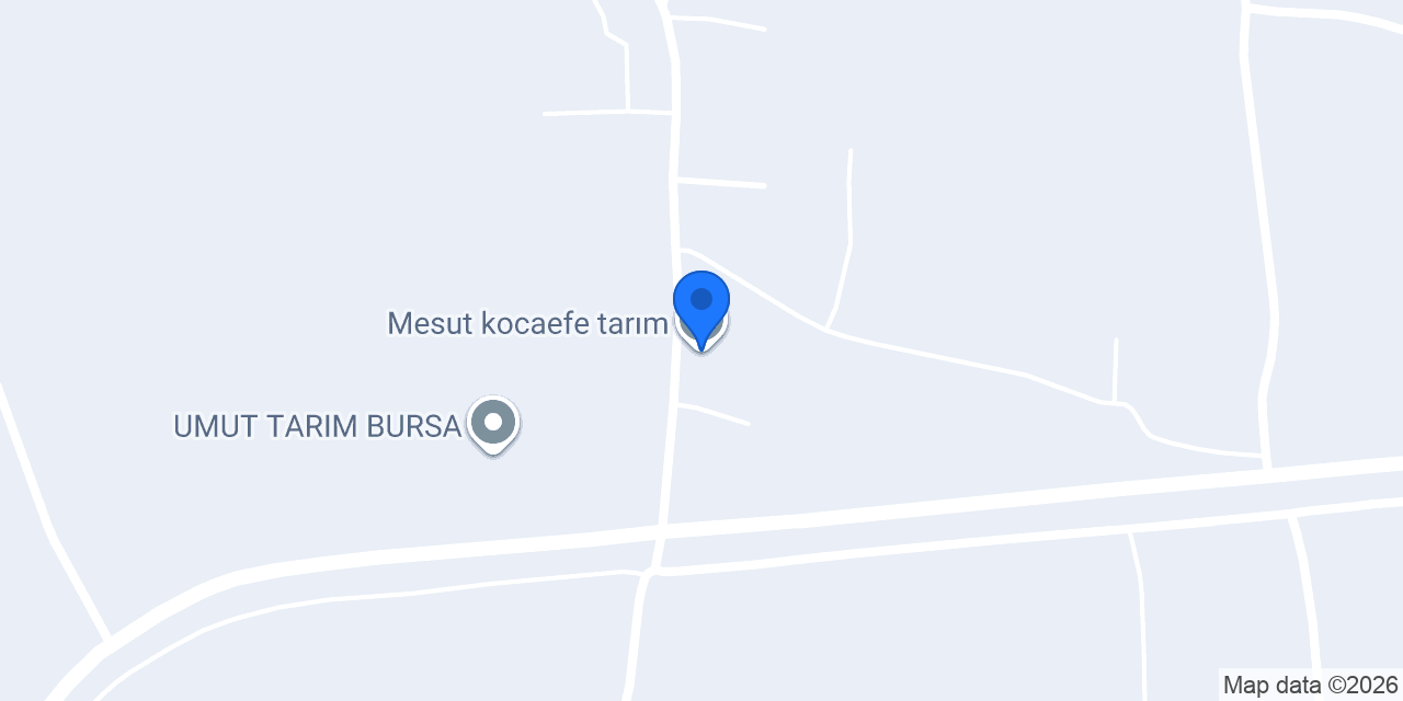 Mesut kocaefe tarım konumu