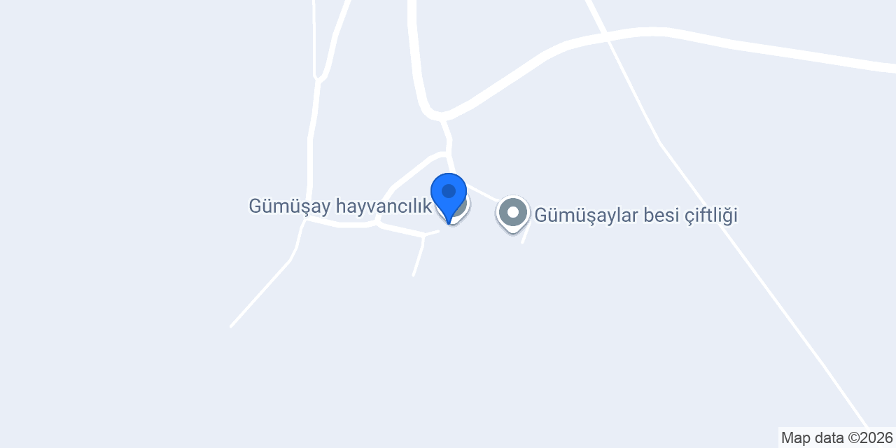 Gümüşay hayvancılık konumu
