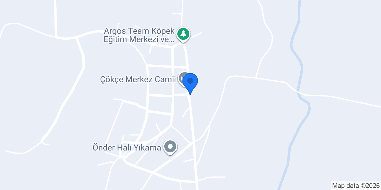 ARAS ATIŞ OTOMOTİV konumu